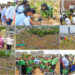 Gandhinagar creates a Guinness Green Miracle: 3.61 lakh saplings in one hour power India’s largest Miyawaki Plantation Drive
