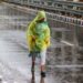 Western Ghats brace for heavy downpour as imd sounds rain alert for Tamil Nadu