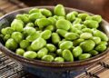 Edamame magic: The green super bean that turns every bite into a gourmet delight