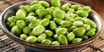 Edamame magic: The green super bean that turns every bite into a gourmet delight