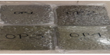 4-kg ‘hydroponic ganja’ hid in false baggage bottoms seized At Chennai airport