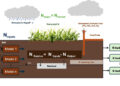 The nitrogen switch: One agricultural lever could save India’s water, soil and climate, says IITGN