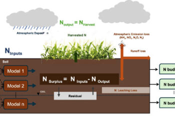 The nitrogen switch: One agricultural lever could save India’s water, soil and climate, says IITGN
