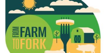 From farm to fork, from soil to soul: The fresh food revolution serves up a new menu for urban India