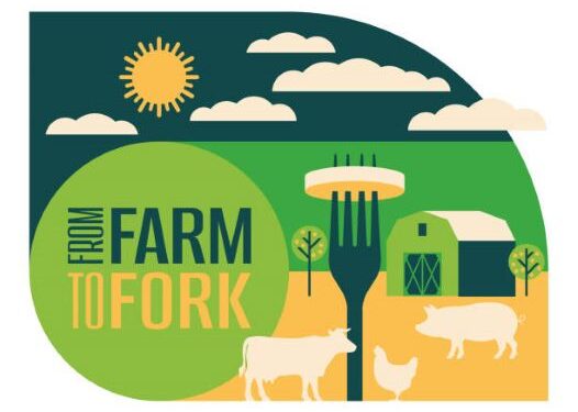 From farm to fork, from soil to soul: The fresh food revolution serves up a new menu for urban India