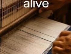 India loves handlooms. But who dares wash them? Godrej’s ‘Handloom Dilemma’ unravels the care conundrum