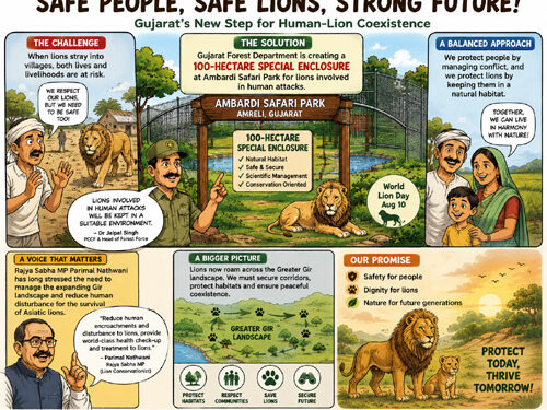 Gujarat draws a new safety line around the lion: 100-hectare Ambardi haven for conflict-prone Asiatic Lions