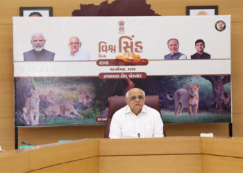 From Gir’s roar to Barda’s new wilderness: Gujarat’s lion conservation enters a new era