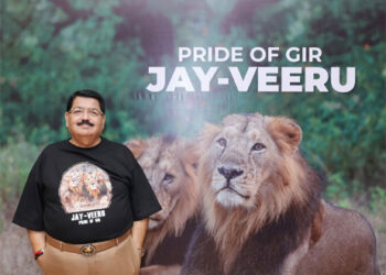 From Gir’s roar to a new wilderness: The Asiatic Lion’s extraordinary comeback