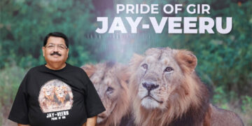 From Gir’s roar to a new wilderness: The Asiatic Lion’s extraordinary comeback