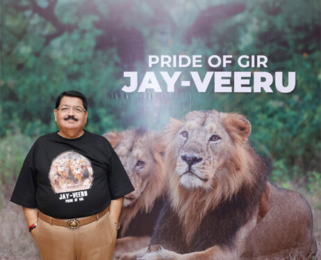 From Gir’s roar to a new wilderness: The Asiatic Lion’s extraordinary comeback