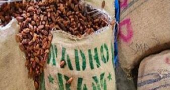 Karachi to Jebel Ali, then India: DRI cracks Pakistan-origin ‘date route’ in 362-tonne seizure