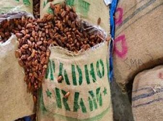 Karachi to Jebel Ali, then India: DRI cracks Pakistan-origin ‘date route’ in 362-tonne seizure