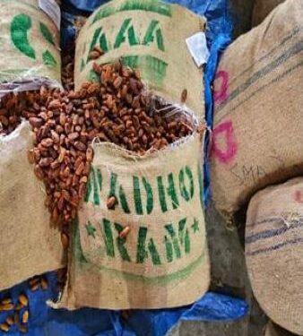 Karachi to Jebel Ali, then India: DRI cracks Pakistan-origin ‘date route’ in 362-tonne seizure