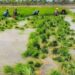 When the paddy field turns pale: Cauvery Delta farmers count the cost of water, heat
