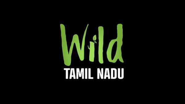 When nature takes centre stage: ‘Wild Tamil Nadu’ brings the State’s untamed soul to the big screen