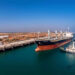 APSEZ anchors another East Coast powerhouse, wins Paradip dry bulk berth project
