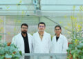 Mustard’s ‘no’ could be India’s ‘yes’ to edible-oil self-reliance