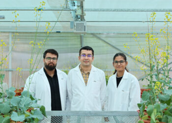 Mustard’s ‘no’ could be India’s ‘yes’ to edible-oil self-reliance