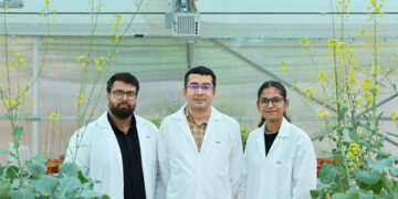 Mustard’s ‘no’ could be India’s ‘yes’ to edible-oil self-reliance