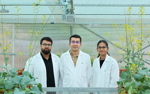 Mustard’s ‘no’ could be India’s ‘yes’ to edible-oil self-reliance