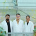 Mustard’s ‘no’ could be India’s ‘yes’ to edible-oil self-reliance