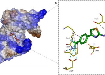 The bug that defeated penicillin has a new vulnerability: IITGN team takes aim at MRSA’s hidden weak spot